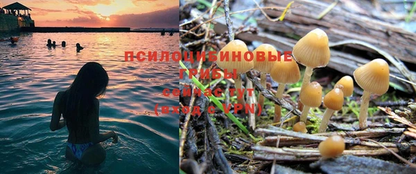 PSILOCYBIN Абаза