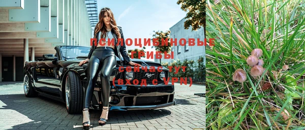 тгк Абинск